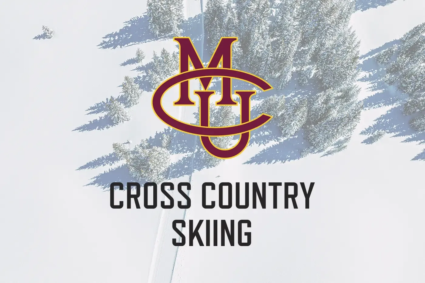 Team member photo: not uploaded yet